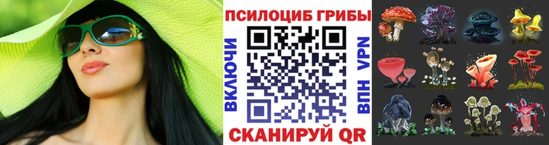 Галлюциногенные грибы прущие грибы  Тамбов 